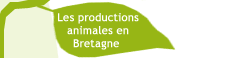 Les productions animales en bretagne