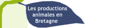 Les productions animales en bretagne